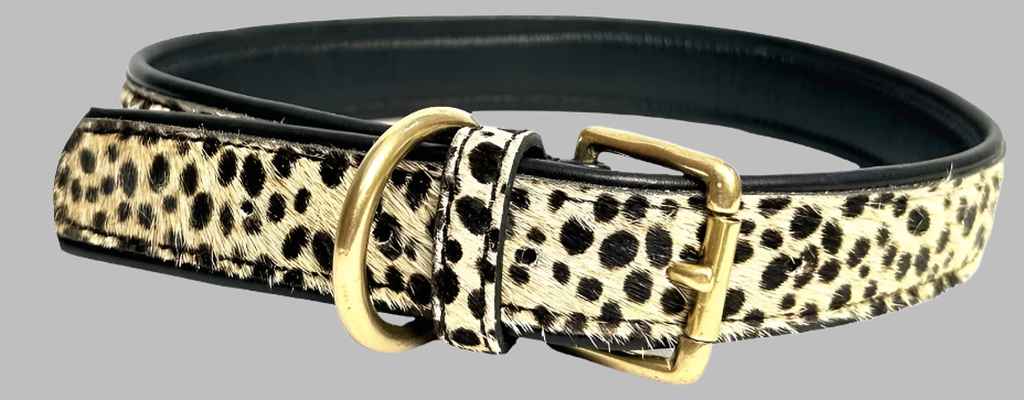 A dog collar with a leopard print pattern on a black background, featuring a gold-colored buckle.