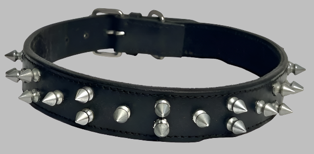 Warrior Spiked Leather Dog Collar – Premium Studded Pet Collar for Tough & Stylish Dogs | NZ & AUS