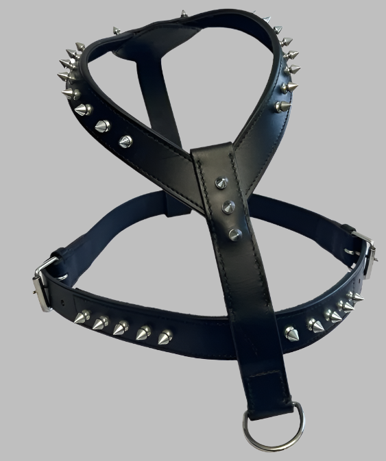 Warrior Premium Black Leather Spiked Dog Harness | Durable Pet Harness for Medium to Large Dogs – NZ & Australia