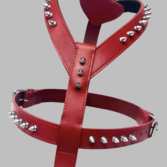 A red leather dog leash with metal spikes on the buckle and additional spikes along the strap.