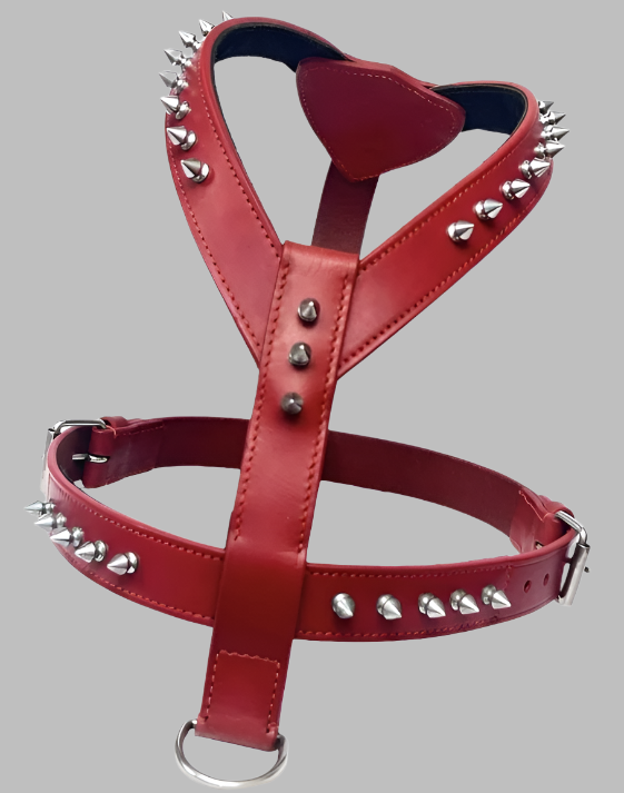 A red leather dog leash with metal spikes on the buckle and additional spikes along the strap.