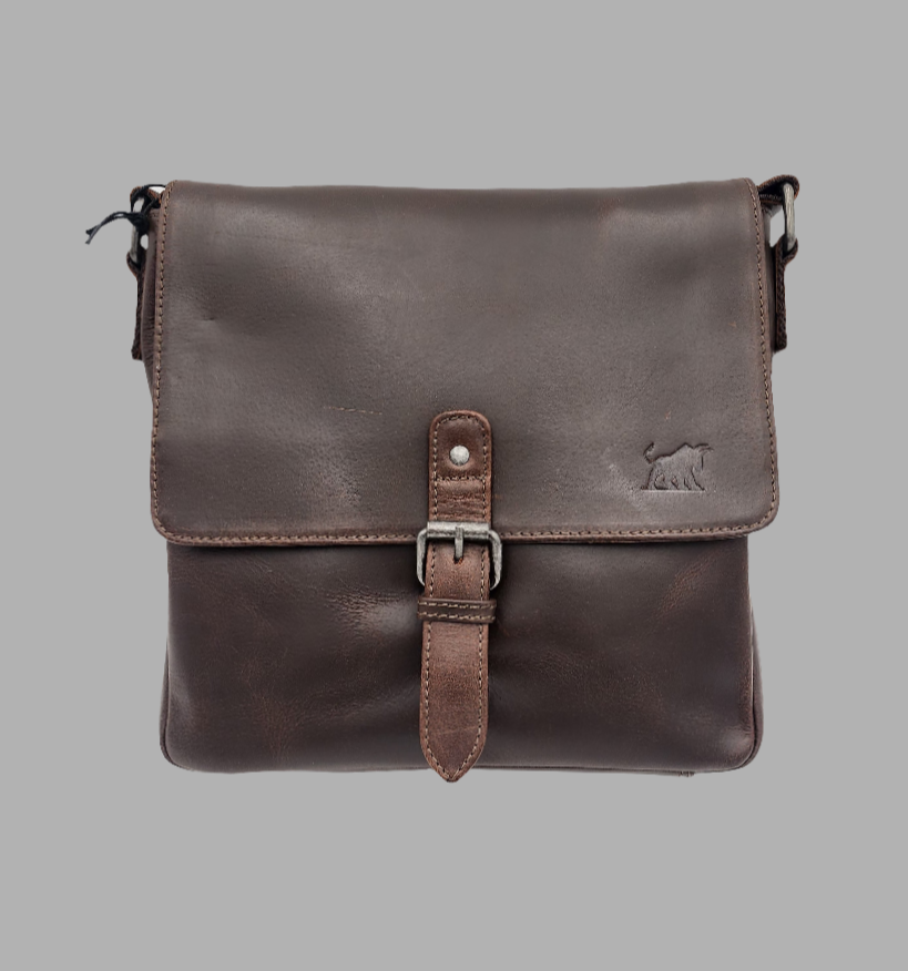 Messenger Leather bag (el-gm-173)