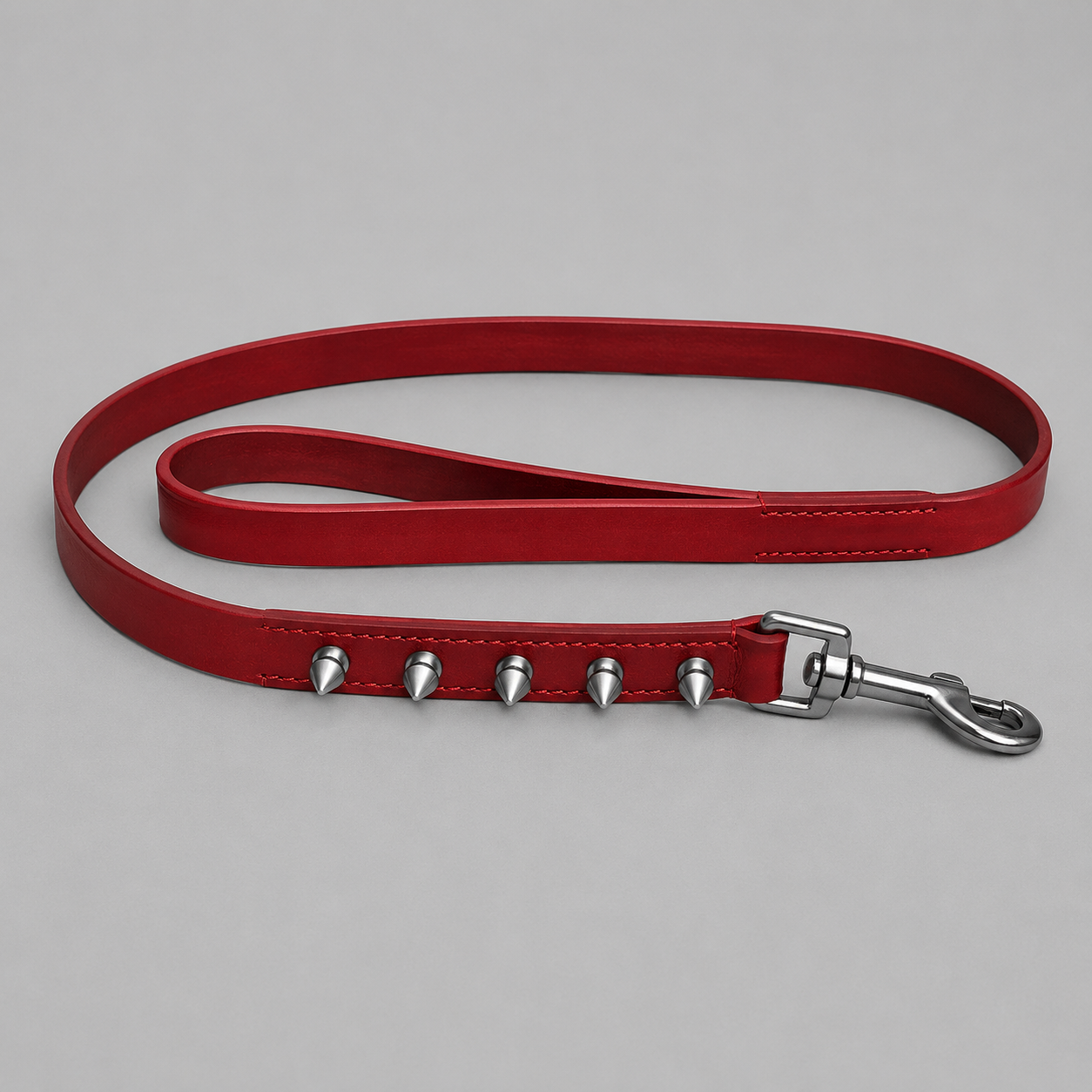 Pet Leash
