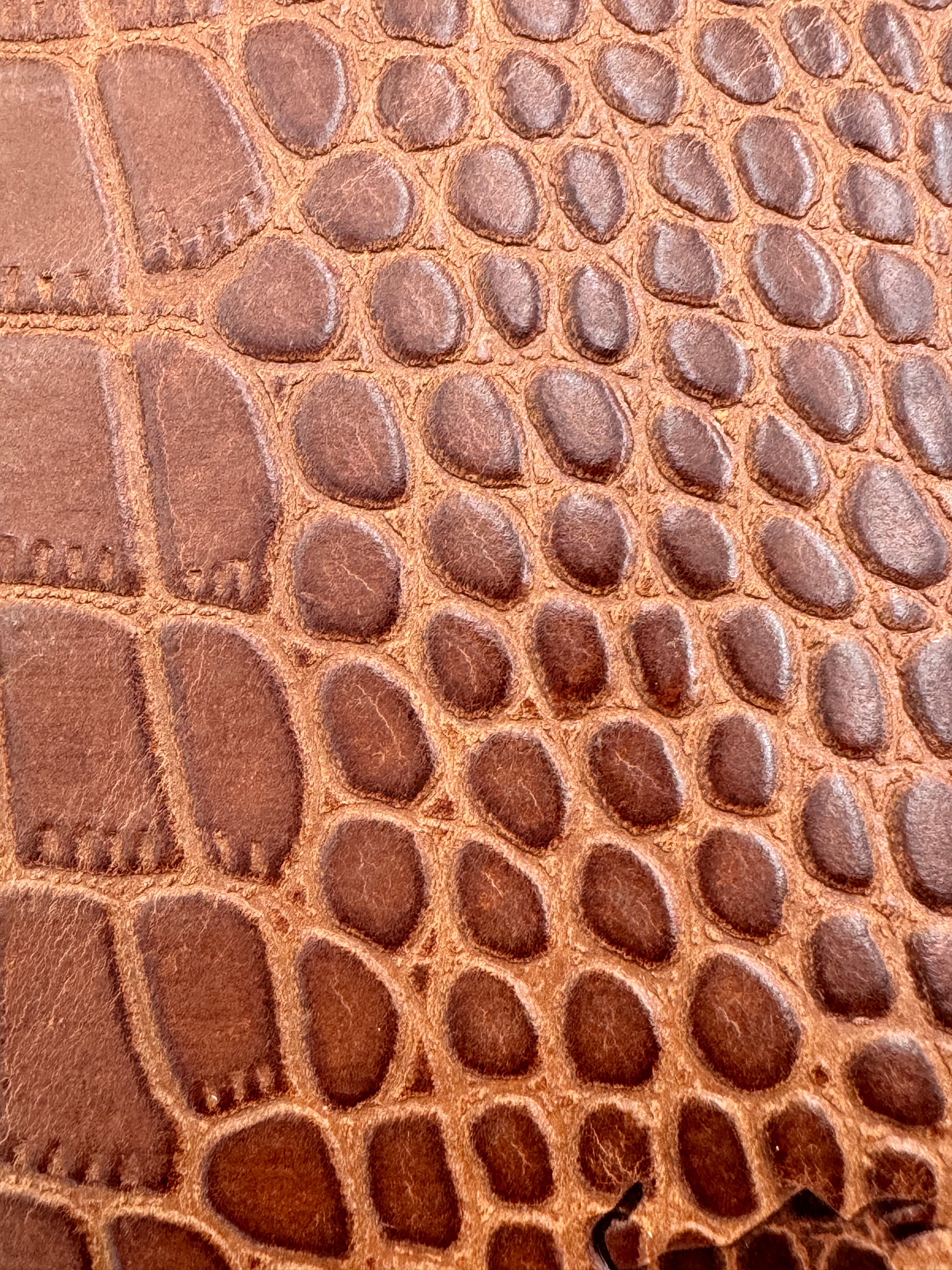 Long Brown Croco Wallet (Croco Wallet 08)