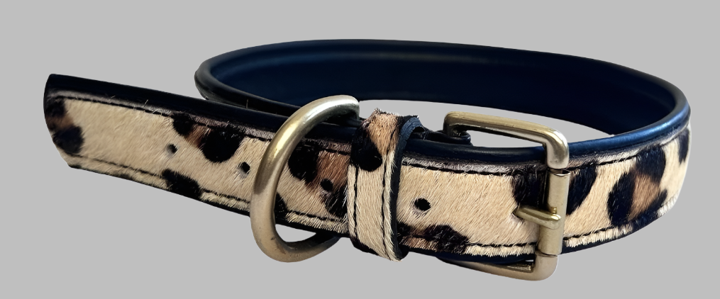 A luxury GM Leather leopard print hair-on-hide pet collar with heavy-duty brass buckle and D-ring, handcrafted quality at LynnMall, Auckland.